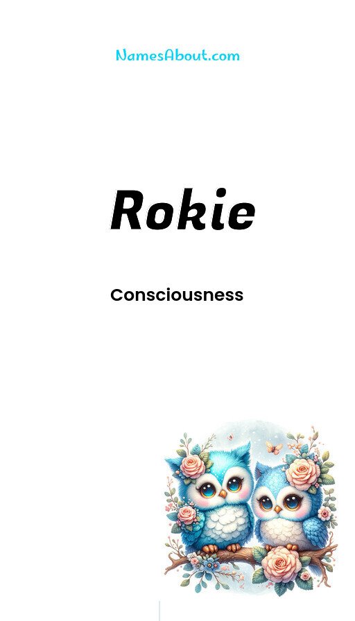 Meaning of Rokie