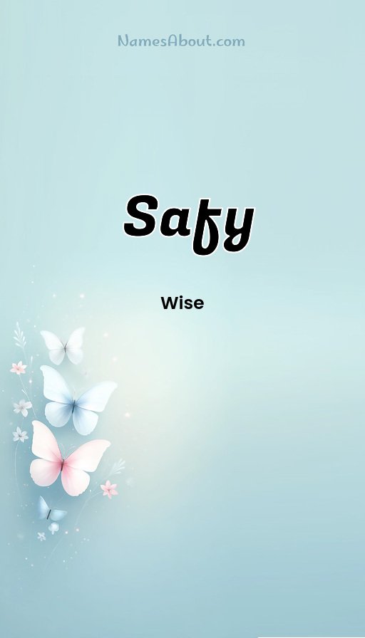 Meaning of Safy