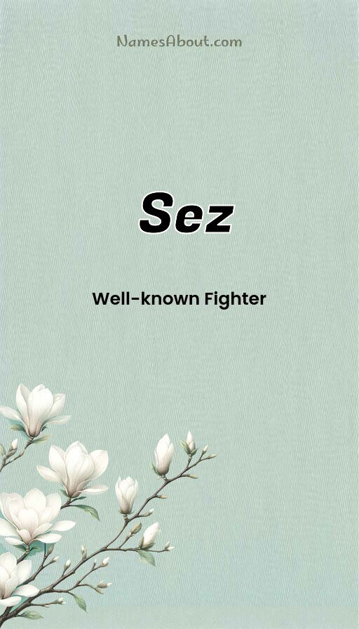 Meaning of Sez