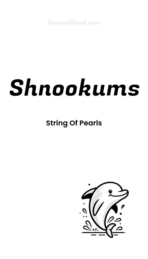 Meaning of Shnookums