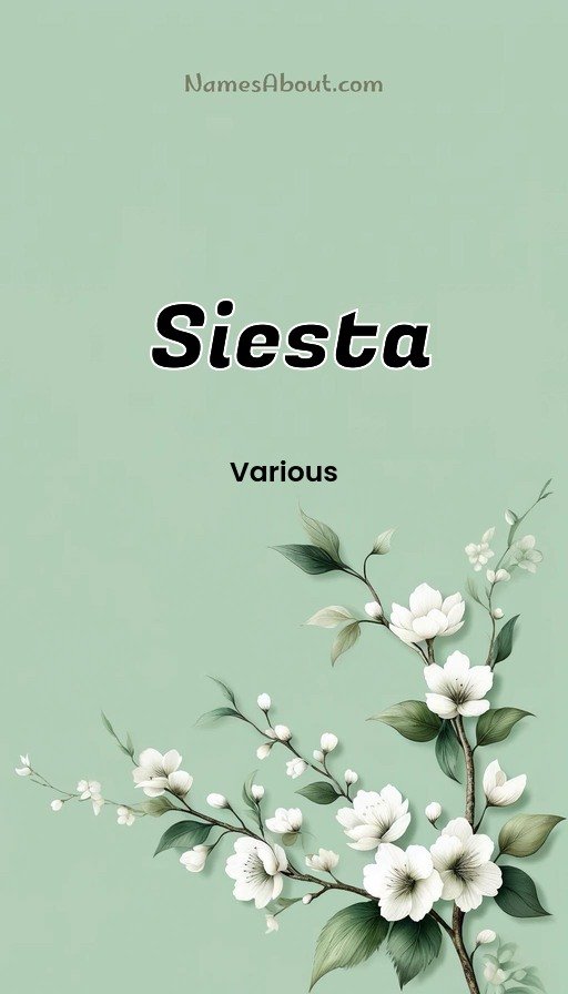 Meaning of Siesta