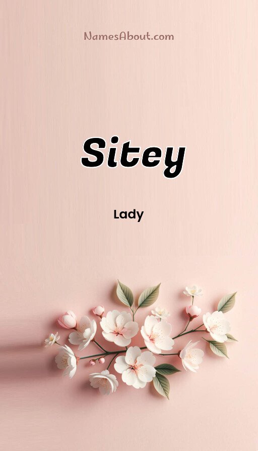 Meaning of Sitey