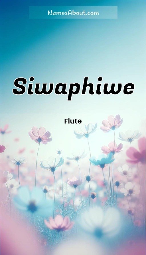 Meaning of Siwaphiwe