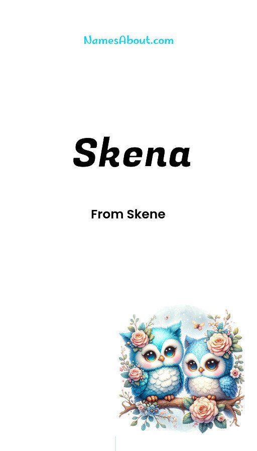 Meaning of Skena