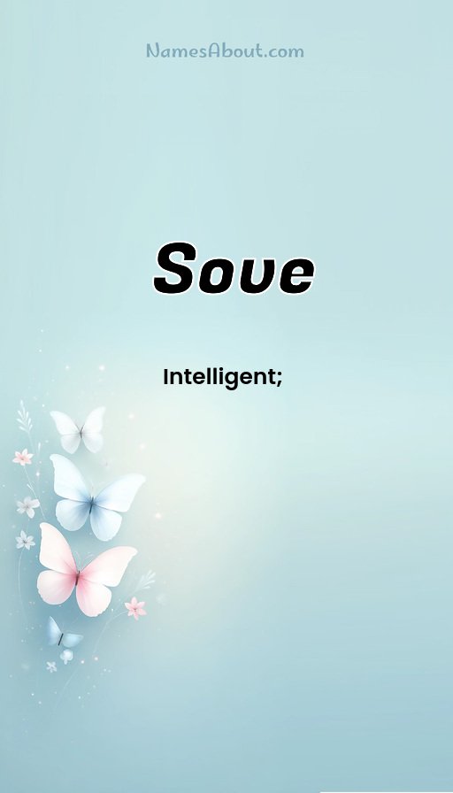 Meaning of Sove