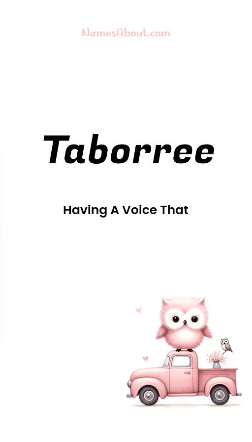 Meaning of Taborree