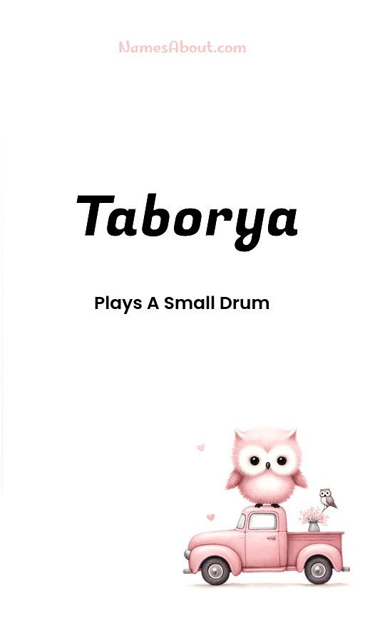 Meaning of Taborya