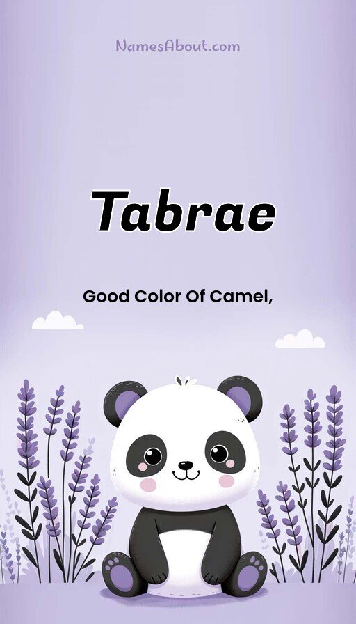 Meaning of Tabrae