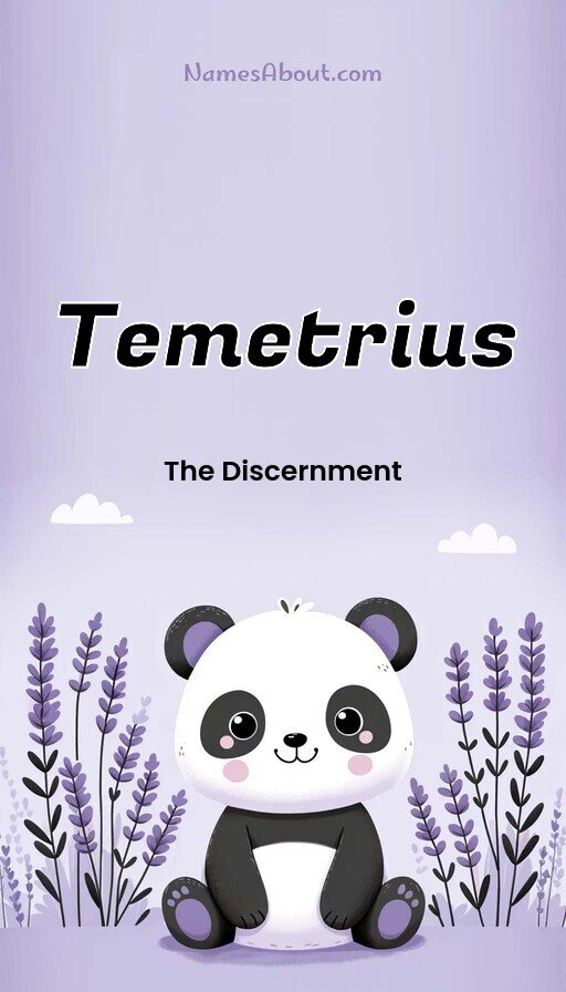 Meaning of Temetrius