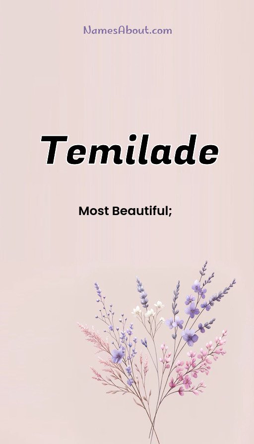 Meaning of Temilade