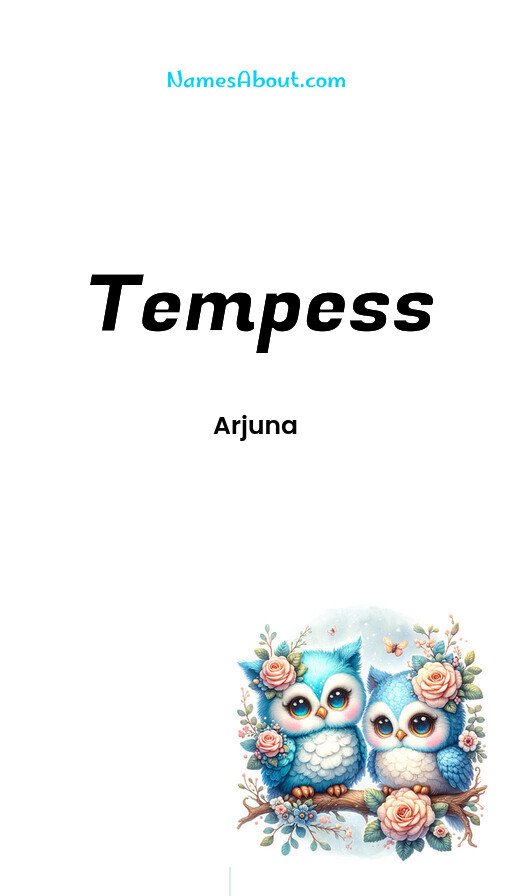 Meaning of Tempess
