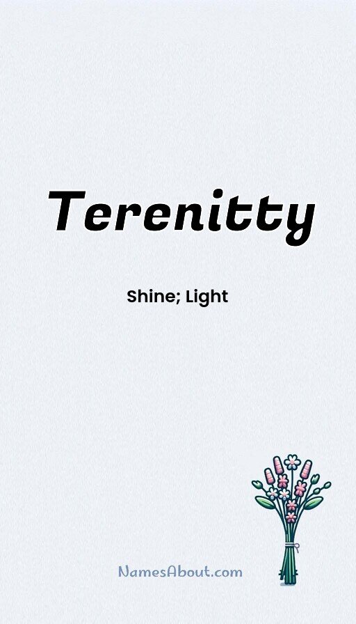 Meaning of Terenitty