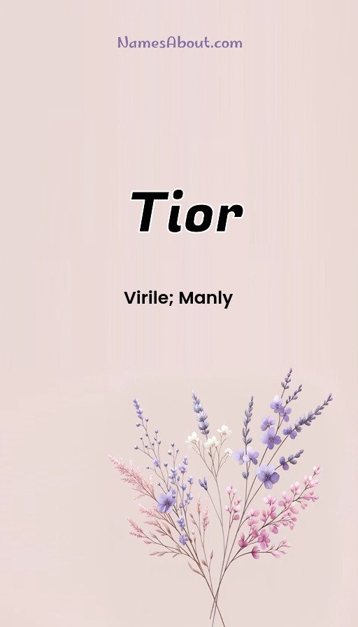 Meaning of Tior