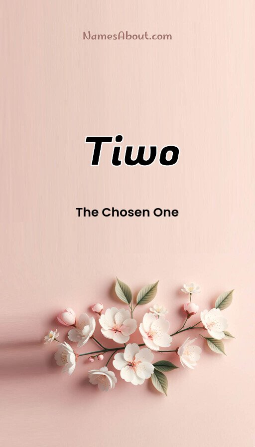 Meaning of Tiwo