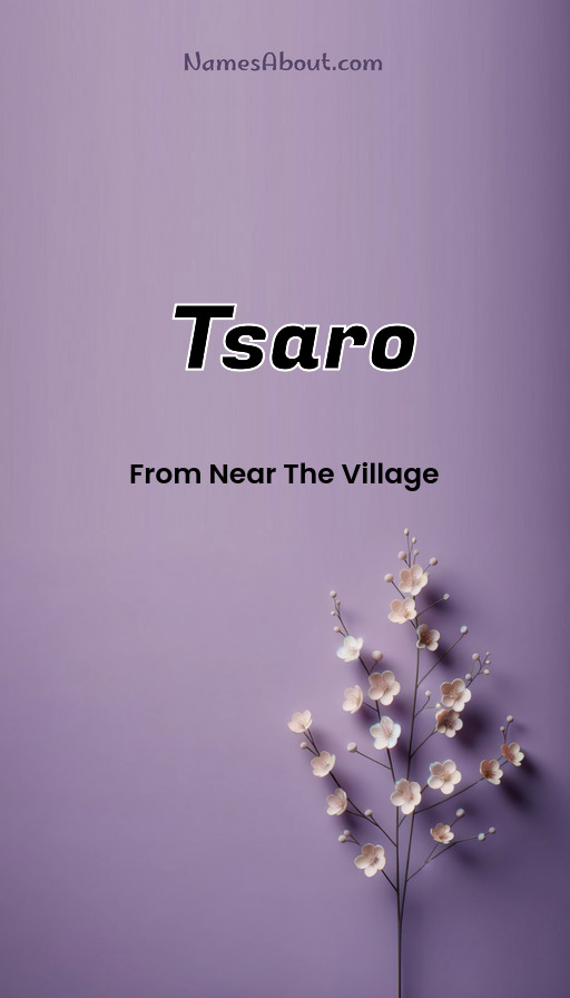 Meaning of Tsaro