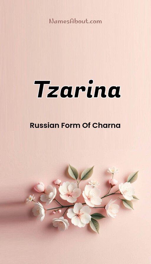 Meaning of Tzarina
