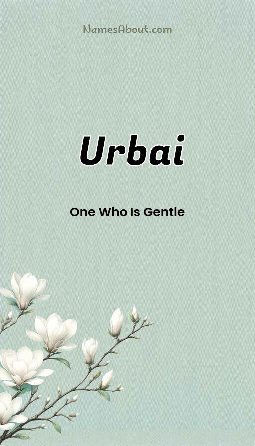 Meaning of Urbai