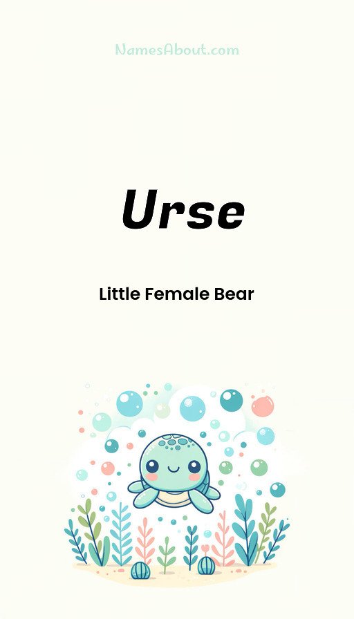 Meaning of Urse