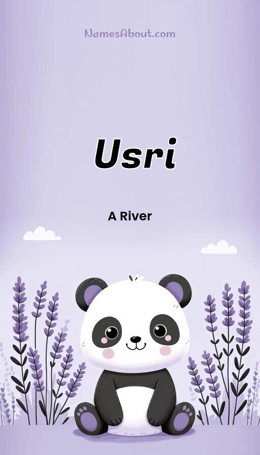Meaning of Usri