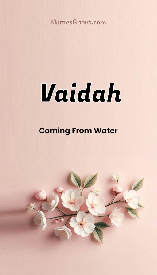 Meaning of Vaidah