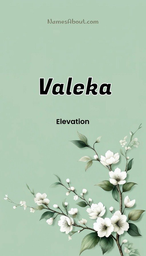Meaning of Valeka