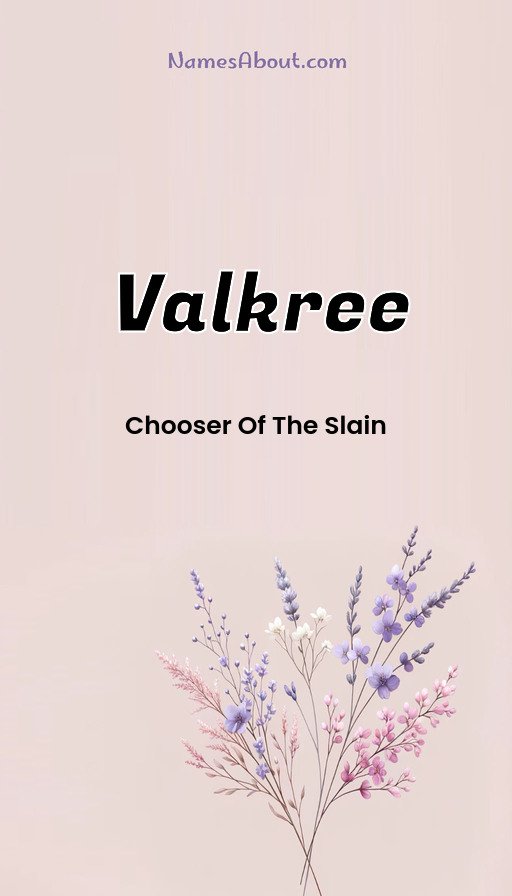 Meaning of Valkree