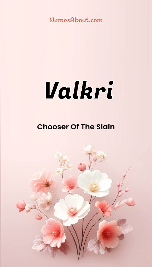 Meaning of Valkri