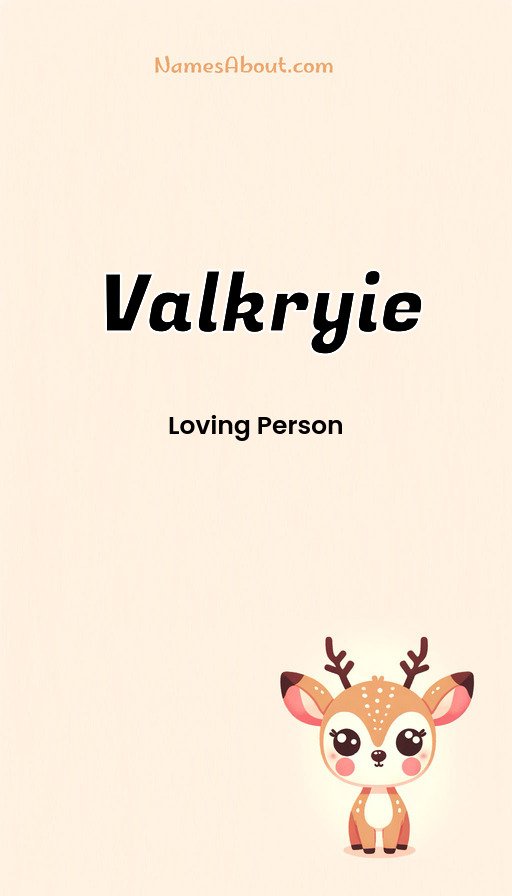 Meaning of Valkryie