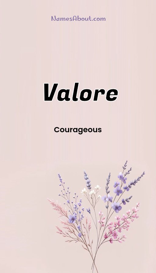 Meaning of Valore
