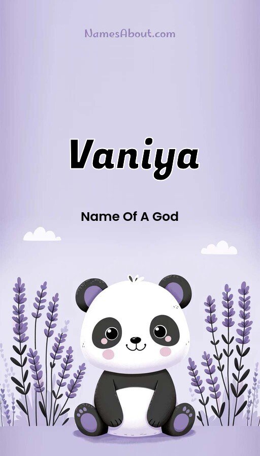 Meaning of Vaniya