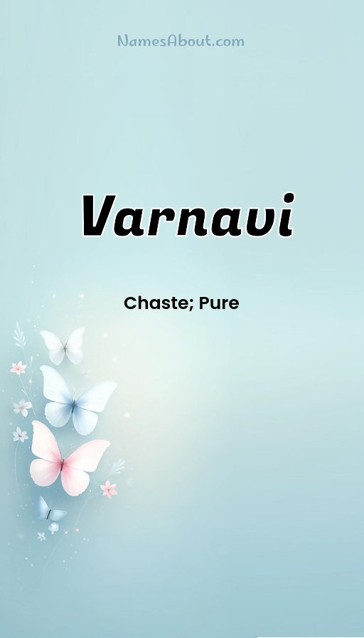 Meaning of Varnavi