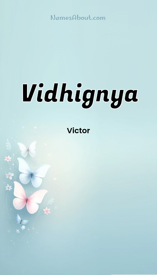 Meaning of Vidhignya