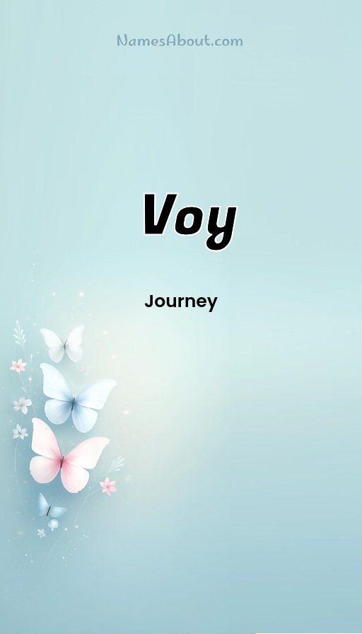 Meaning of Voy