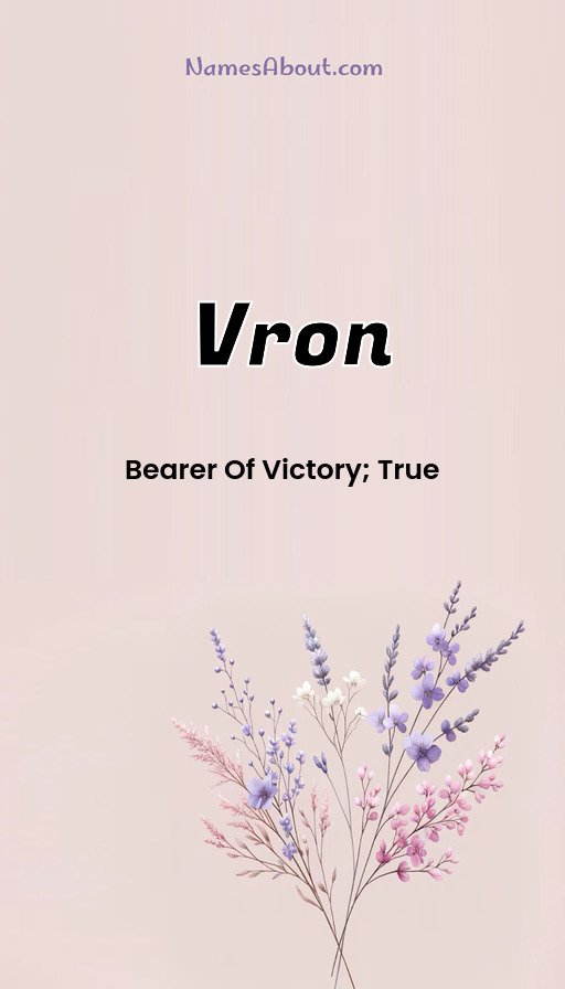 Meaning of Vron