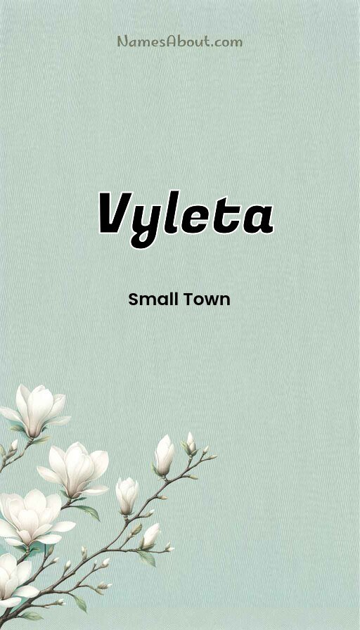 Meaning of Vyleta