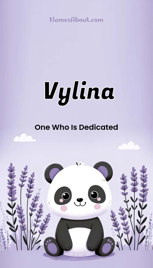 Meaning of Vylina