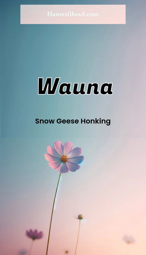 Meaning of Wauna