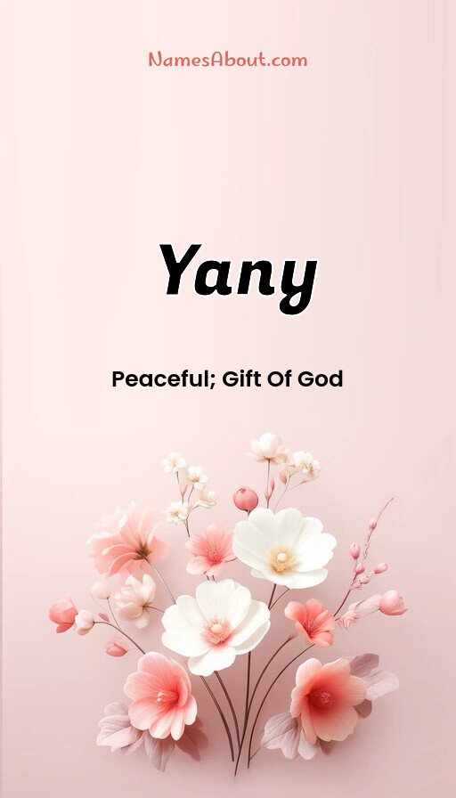 Meaning of Yany