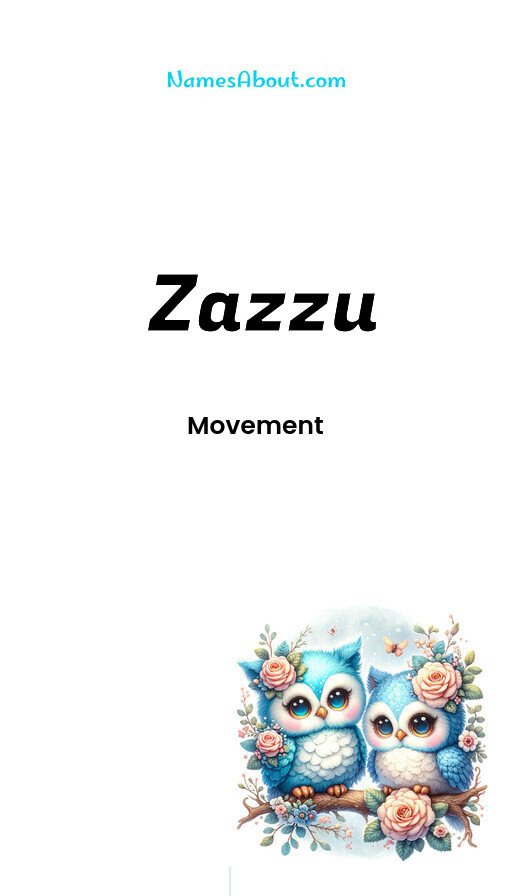 Meaning of Zazzu