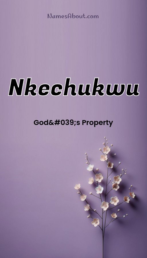 Meaning of Nkechukwu