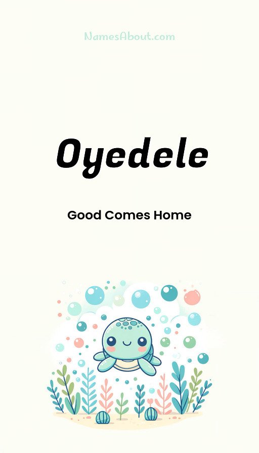 Meaning of Oyedele