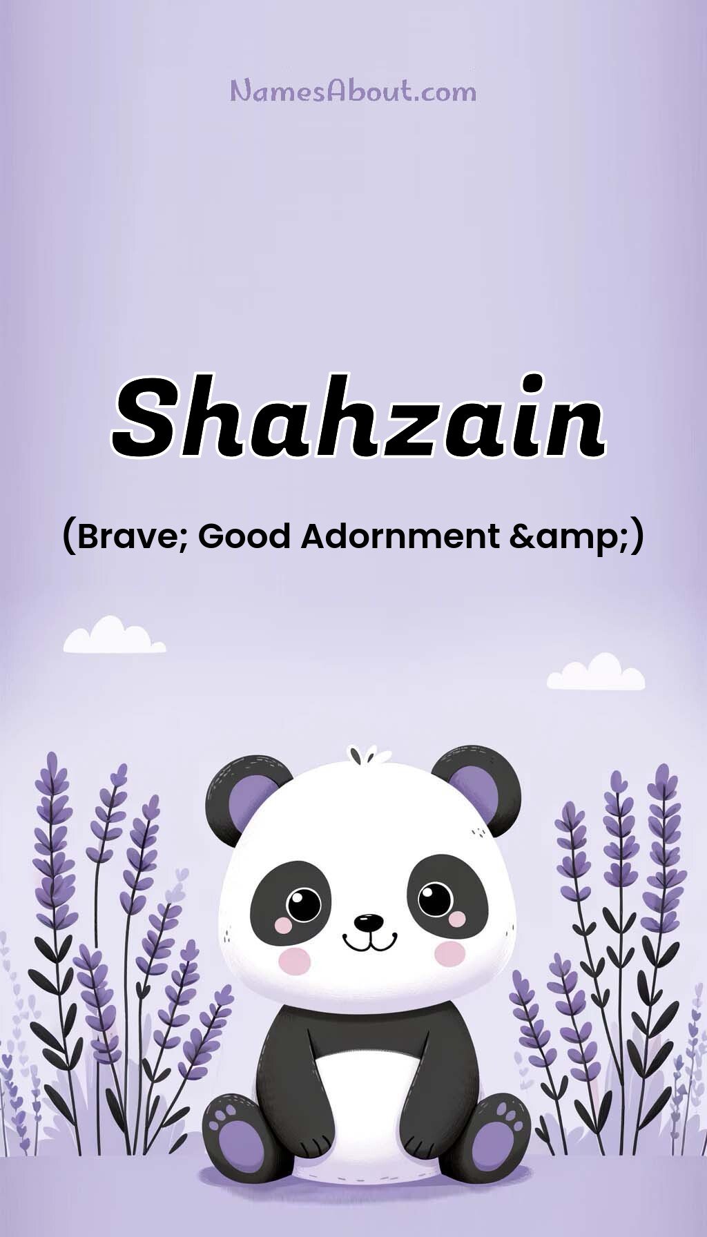 Shahzain name and meaning