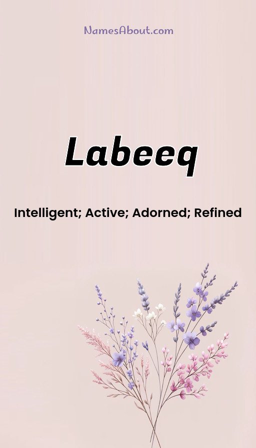 Meaning of Labeeq