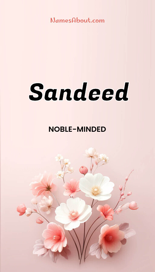 Meaning of Sandeed