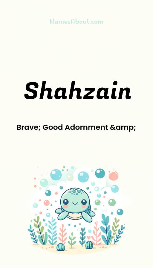 Shahzain name and meaning