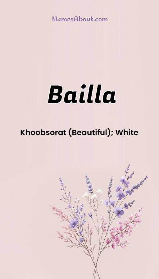 Meaning of Bailla