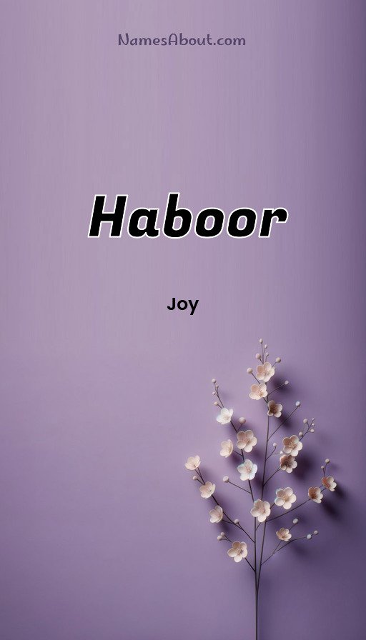 Meaning of Haboor