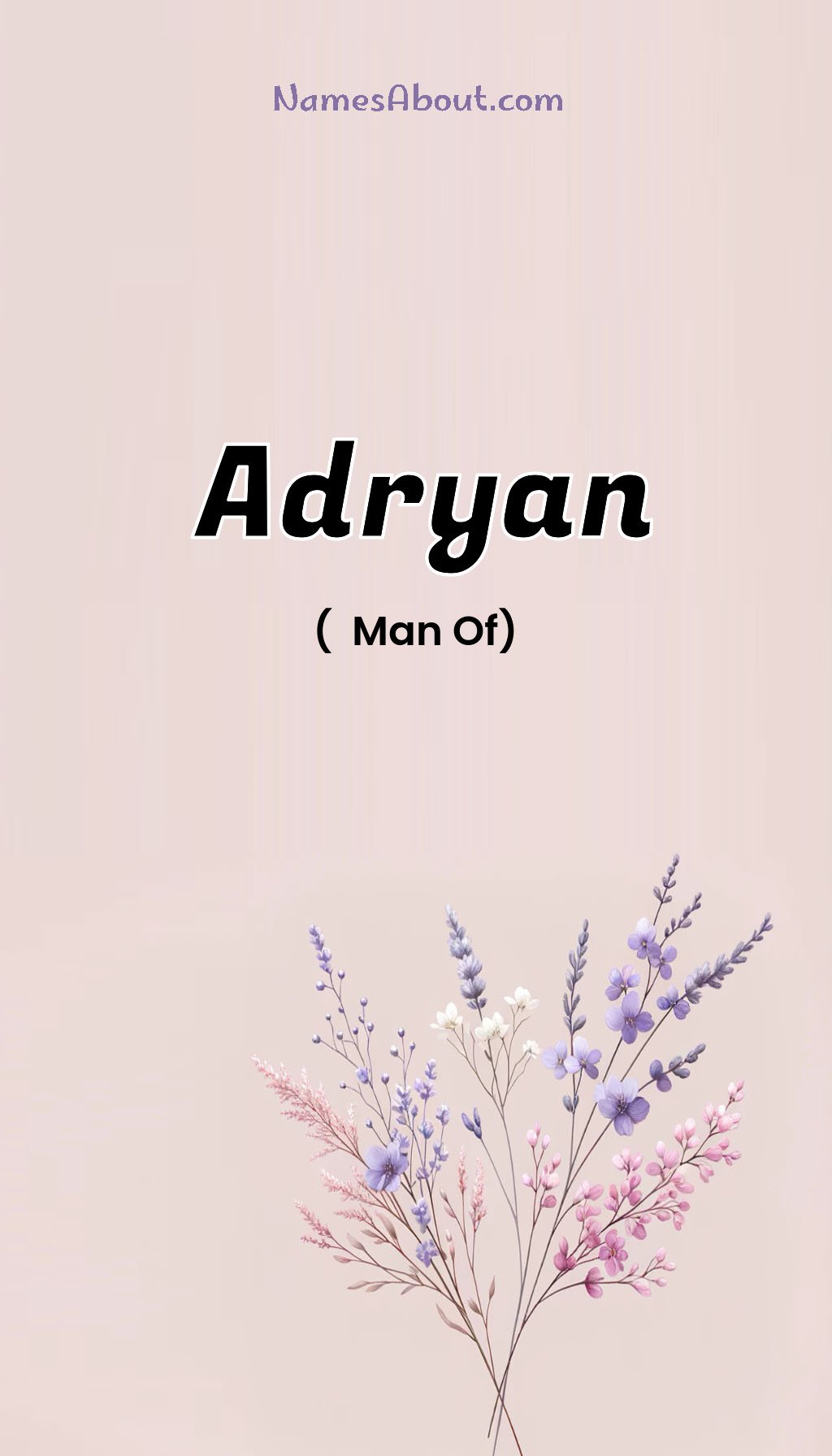 Adryan name and meaning