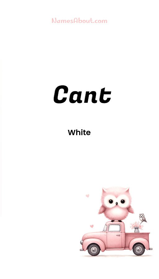 Meaning of Cant