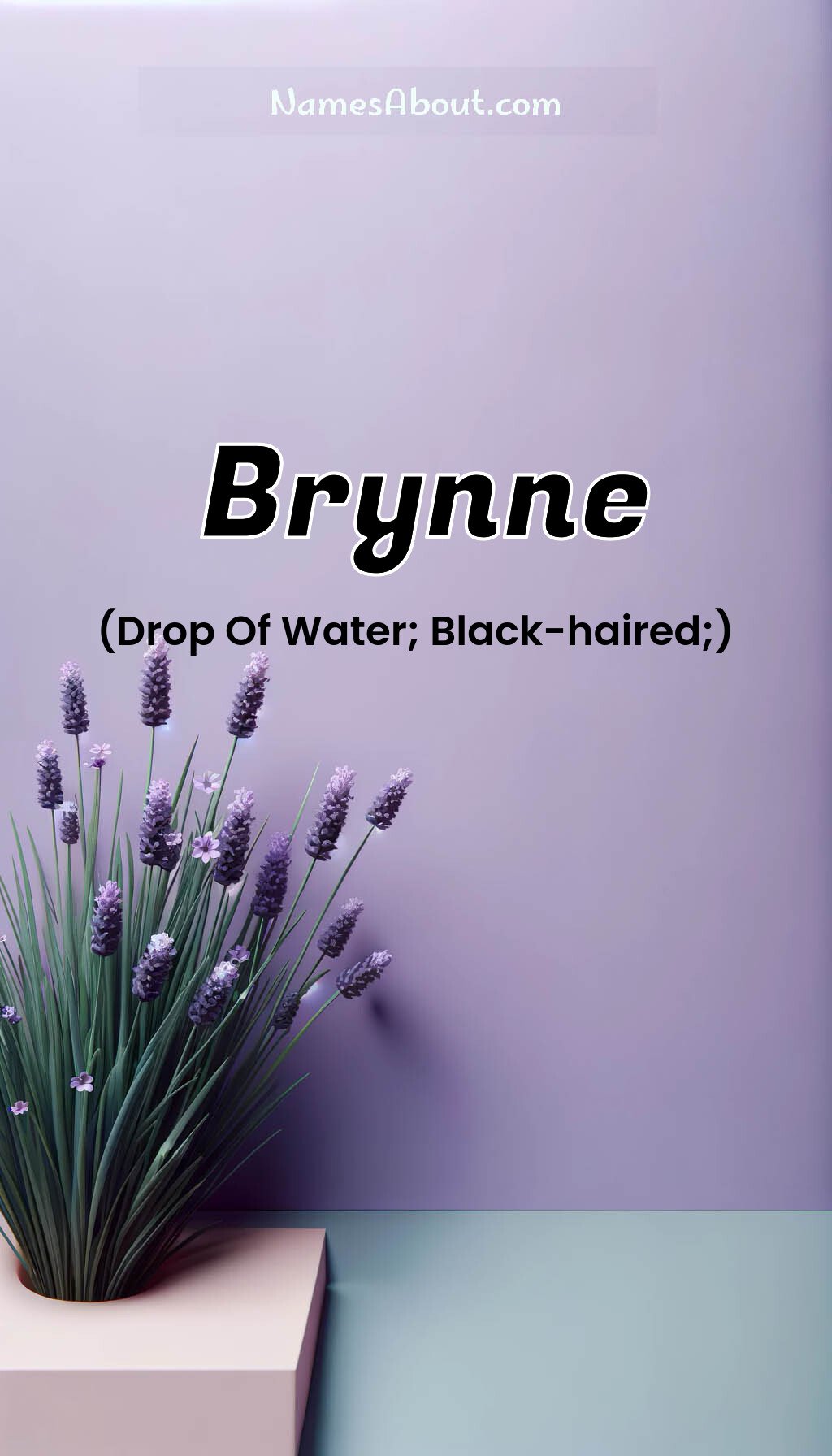 Brynne name and meaning